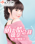 萌妻擒拿酷总裁封面