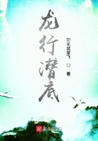 龙行潜底封面