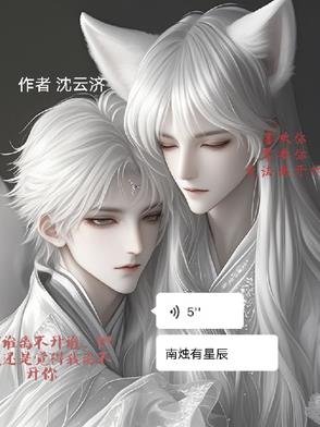 南烛有星沉封面