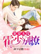 宠妻无度：霍少，别撩！封面