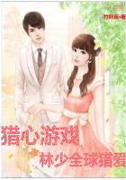 猎心游戏：林少全球猎爱封面