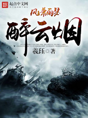 风萧雨瑟醉云烟封面
