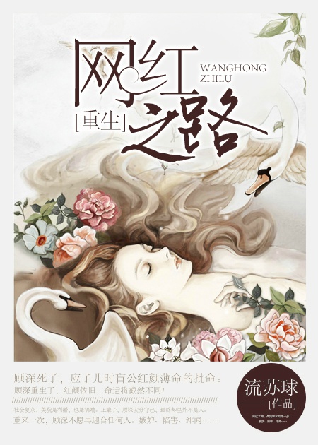 网红之路[重生]封面