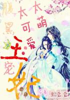 太萌太可爱：腹黑王宠妃封面