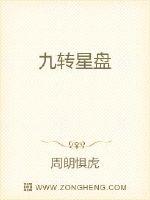 九转星盘封面