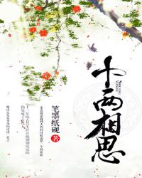 十两相思封面