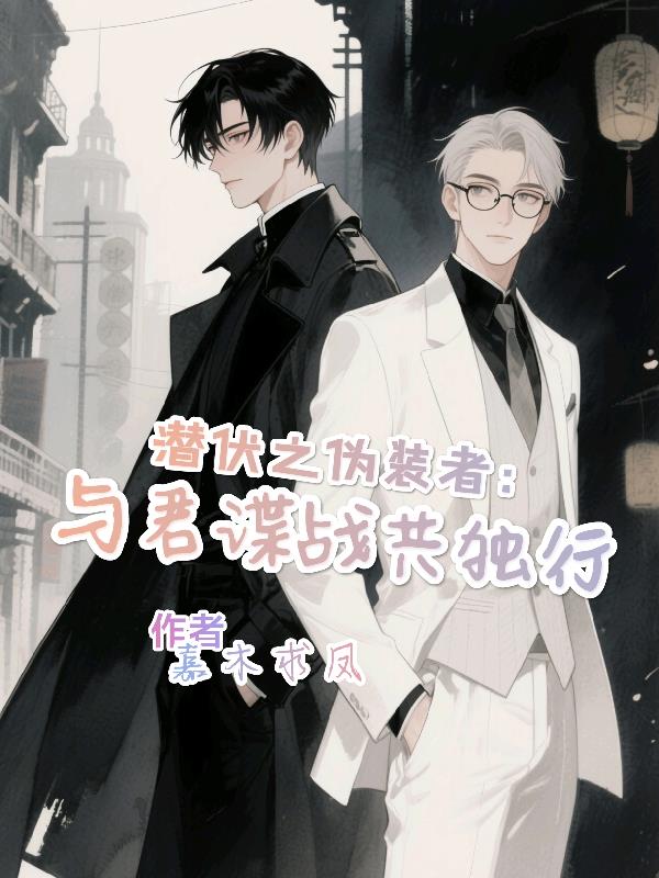 潜伏之伪装者：与君谍战共独行封面