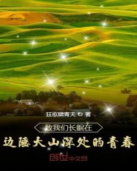 致我们长眠在边陲大山深处的青春封面