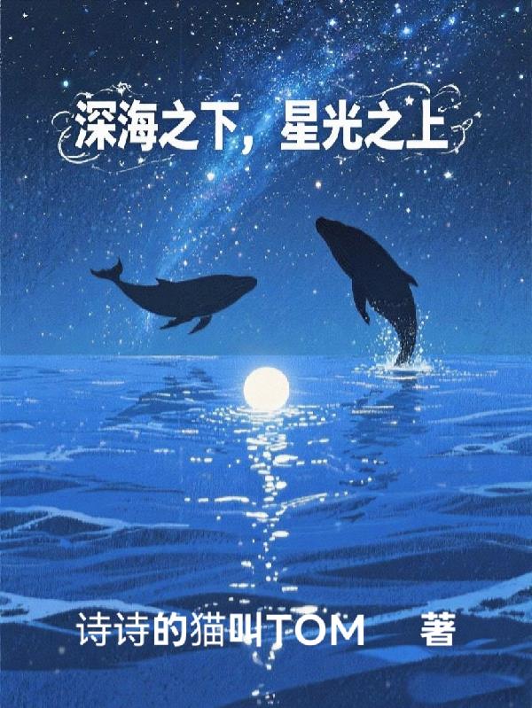 深蓝之下，星光之上封面
