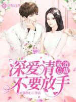 霸道总裁：深爱请不要放手封面