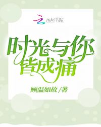 时光与你皆成痛封面