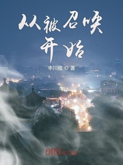 从被召唤开始封面