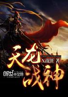 天龙战神封面