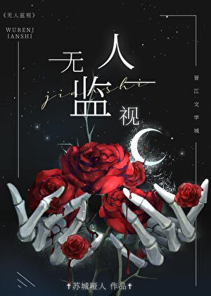 无人监视封面