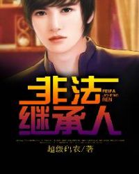 非法继承人封面