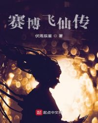 赛博飞仙传封面