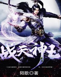 战天神王封面