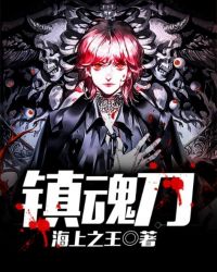镇魂刀封面
