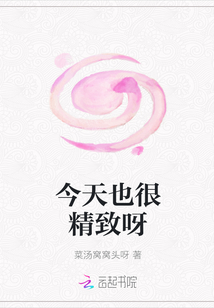 今天也很精致呀封面