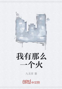 我有那么一个火封面