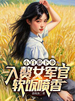 小白脸下乡，入赘女军官软饭喷香封面