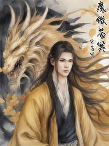 魔傲苍冥封面