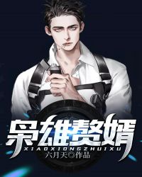枭雄赘婿封面