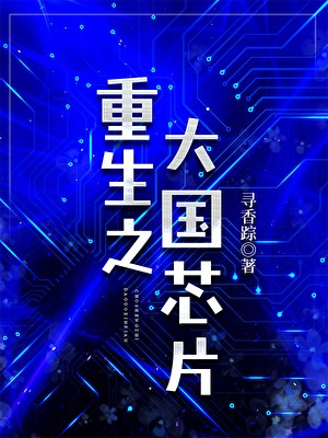 重生之大国芯片封面