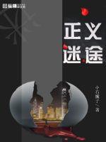 正义迷途封面