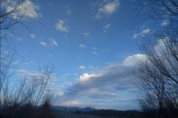 万物生长向太阳封面