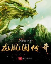 龙胤国传奇封面