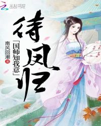 待凤归，国师知我意封面