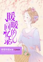 暖暖的回忆录封面