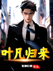 叶凡归来封面