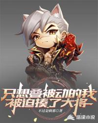 只想叠被动的我被迫揍了大将封面