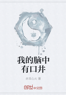 我的脑中有口井封面