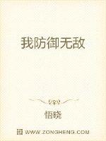 我防御无敌封面