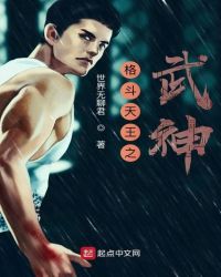 格斗天王之武神封面