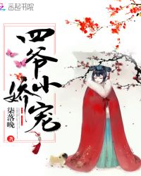 四爷小娇宠封面