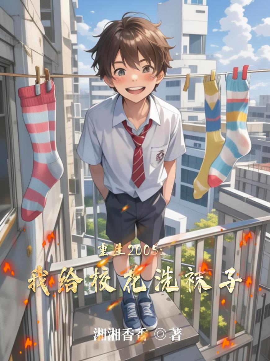 重生2005：我给校花洗袜子封面