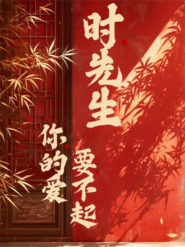 时先生，你的爱要不起封面