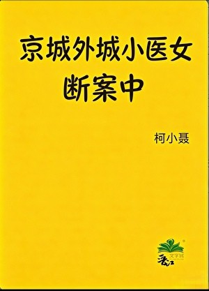 京城外城小医女断案中封面