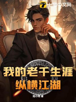 我的老千生涯纵横江湖封面