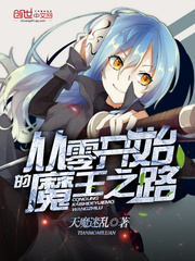 从零开始的魔王之路封面