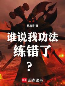 谁说我功法练错了？封面