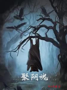 聚阴魂封面