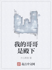 我的哥哥是殿下封面