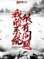 我的系统很有问题封面