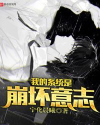 我的系统是崩坏意志封面