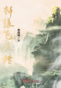 轩辕飞天传封面